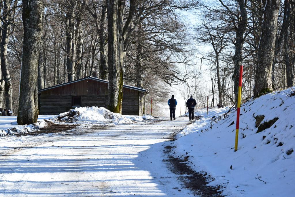 Guest House Lagotto'S Peak Radatovici Buitenkant foto